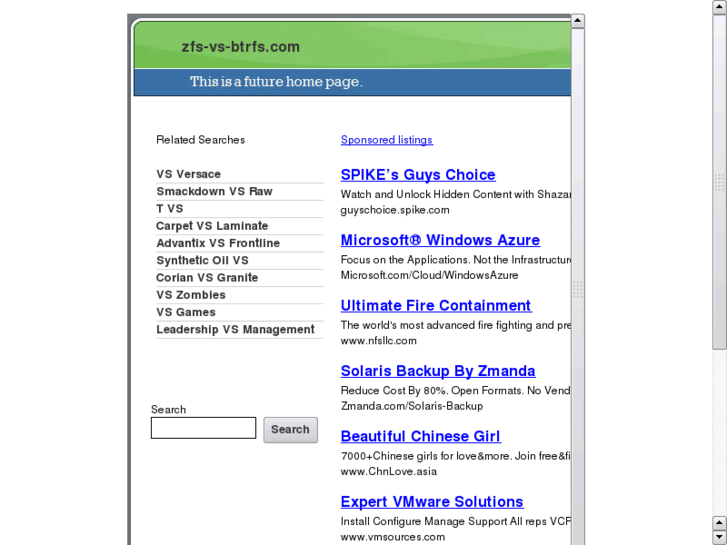 www.zfs-vs-btrfs.com