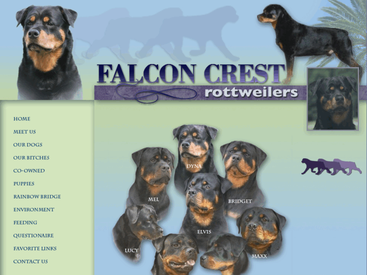 www.falconcrestrottweilers.com