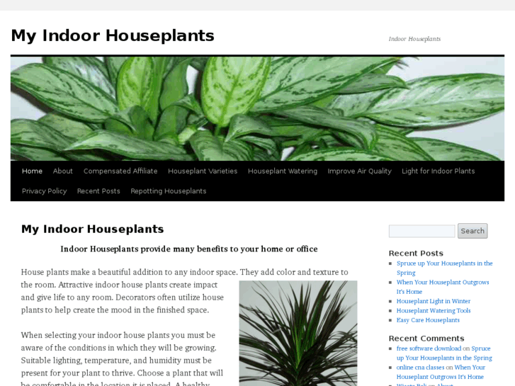 www.myindoorhouseplants.com