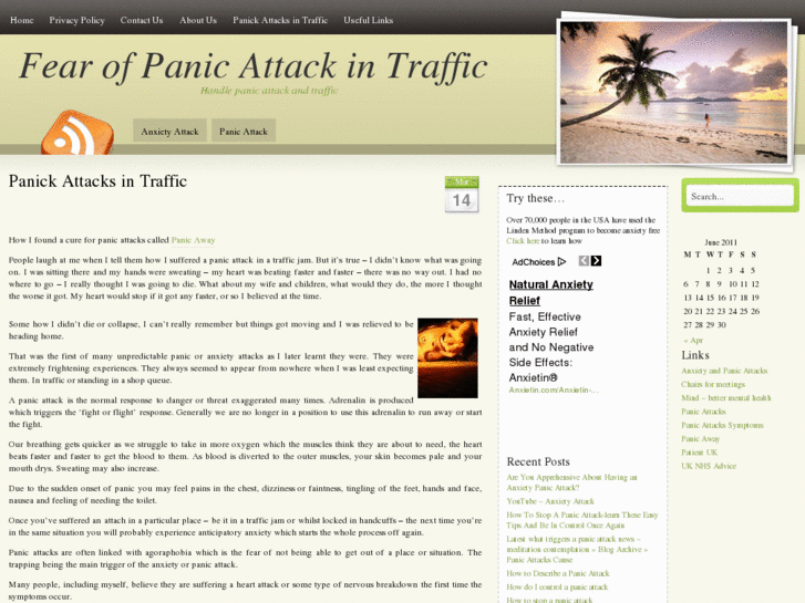 www.panicattackintraffic.com