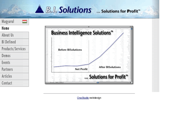 www.bi-solutions.biz