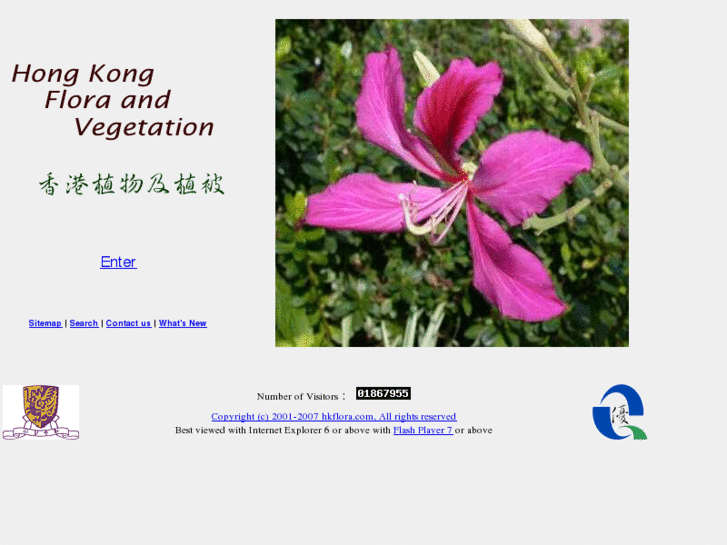 www.hkflora.com