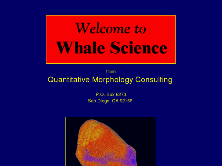 www.spermwhale.org