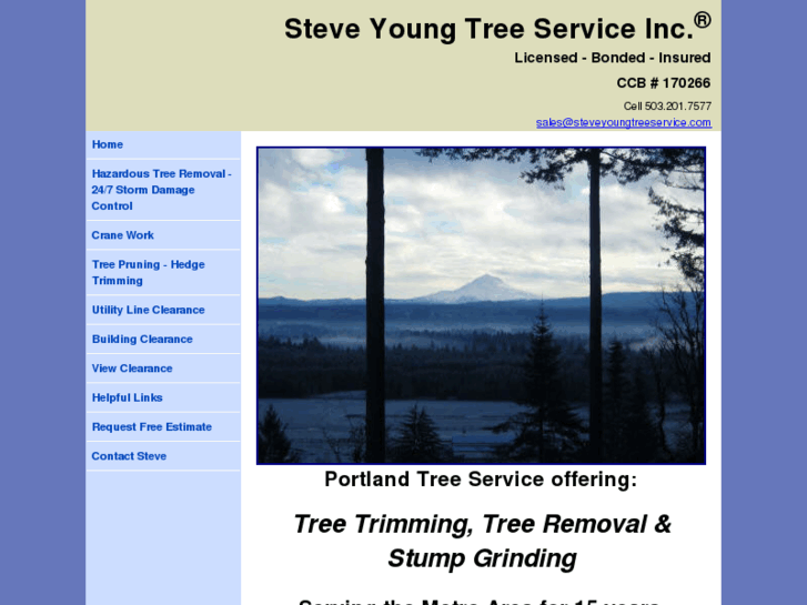 www.steveyoungtreeservice.com