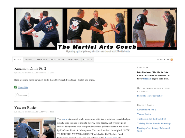 www.themartialartscoach.com