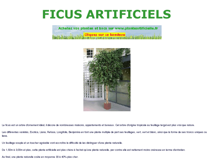www.ficus-artificiel.com