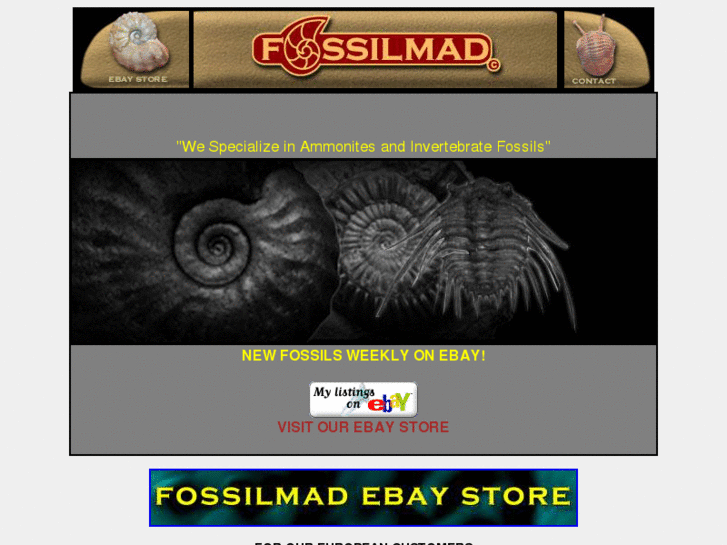 www.fossilmad.com