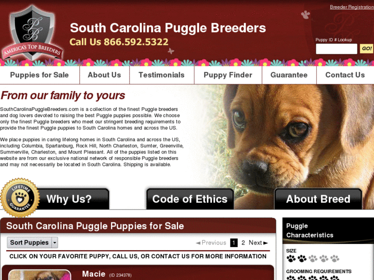 www.southcarolinapugglebreeders.com