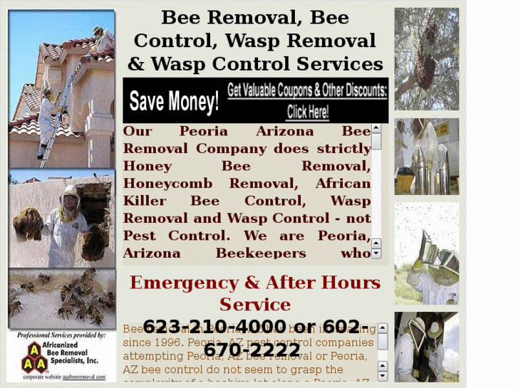 www.beeremovalpeoriaaz.com