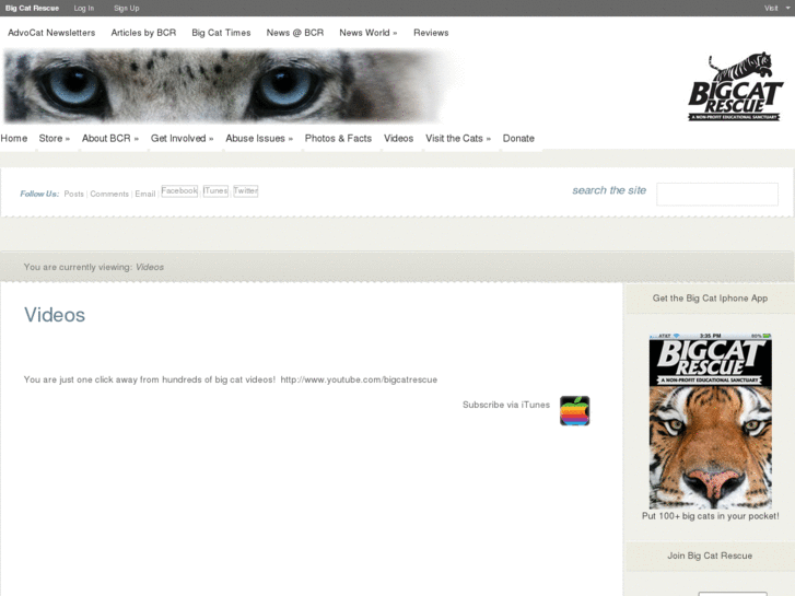 www.bigcatproductions.com