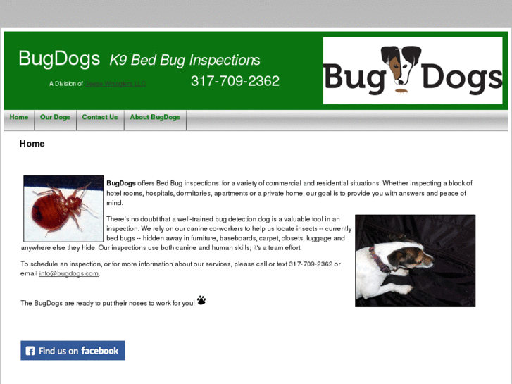 www.bugdogs.com