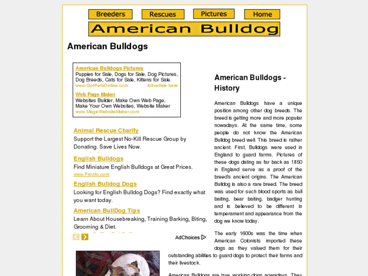 www.american-bulldogs-1.com