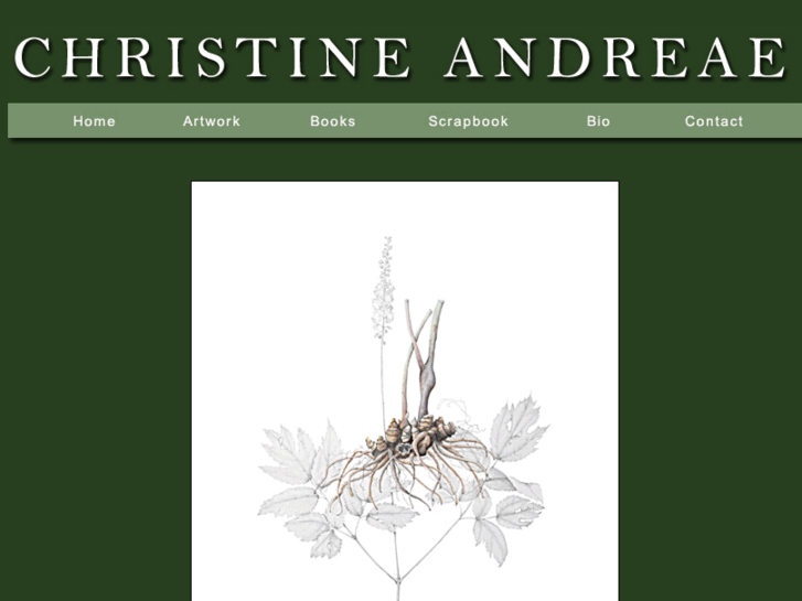 www.christineandreae.com