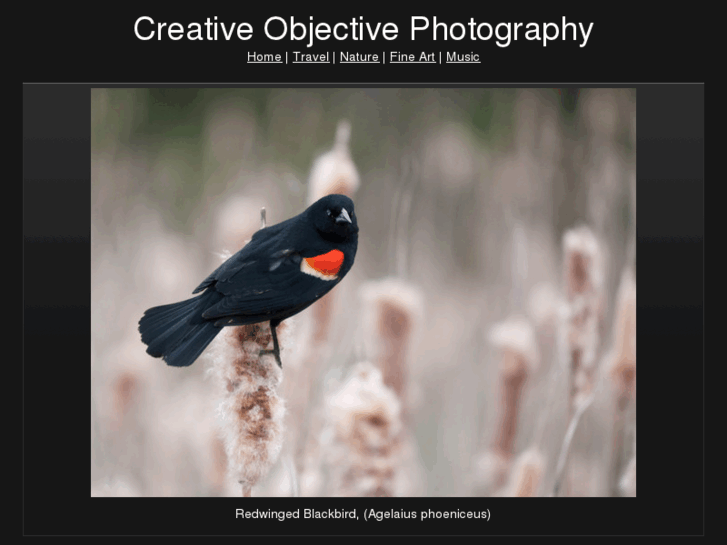 www.creativeobjective.com