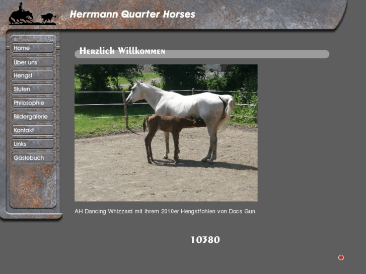 www.herrmannquarterhorses.com