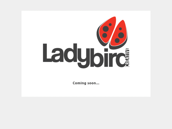 www.ladybirdcreative.com