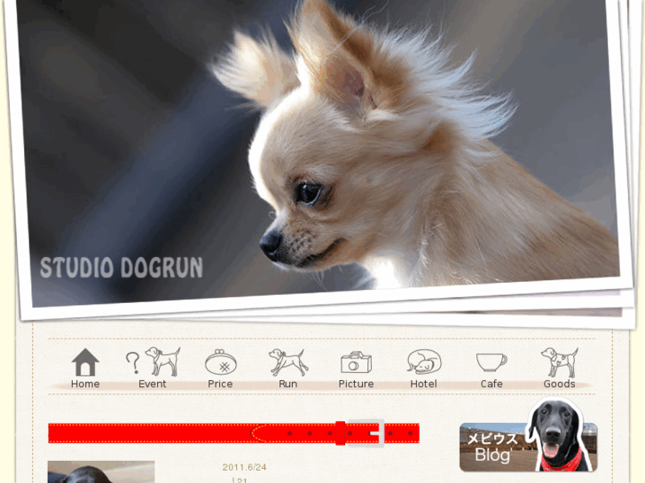 www.studio-dogrun.com