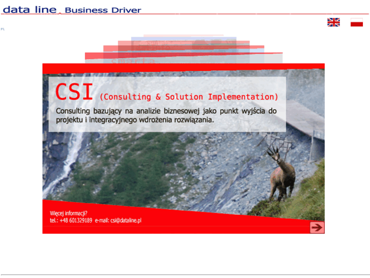www.dataline.pl