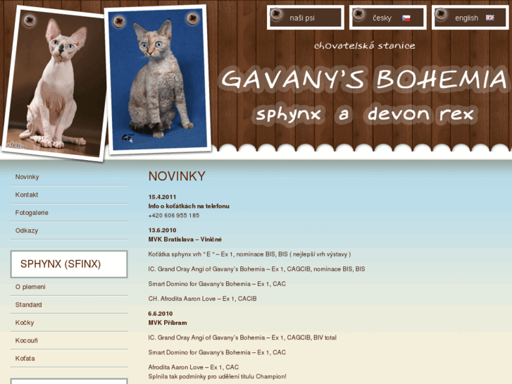 www.gavanysbohemia-cats.cz