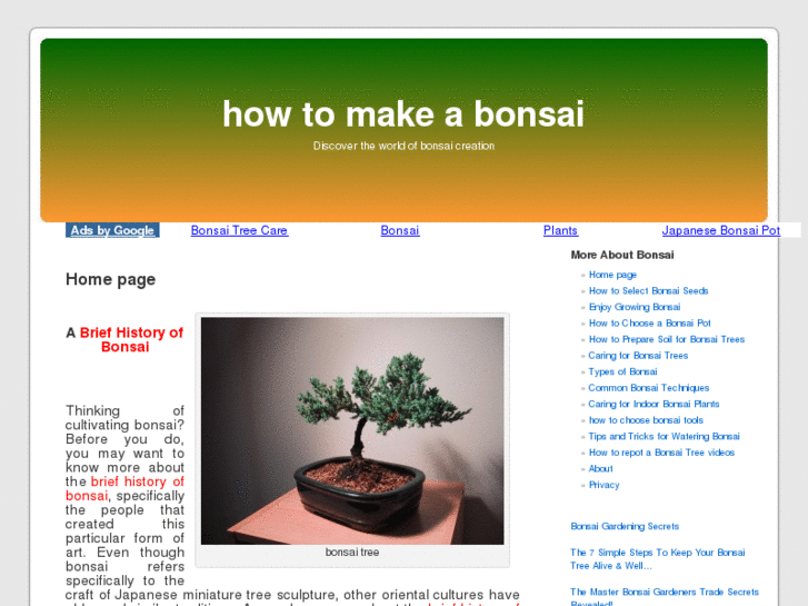 www.how-to-make-a-bonsai.com