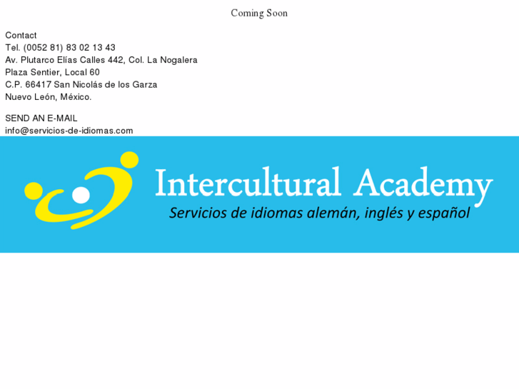 www.intercultural-academy.com