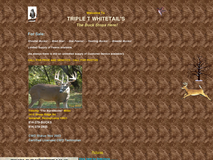 www.triple-t-whitetails.com