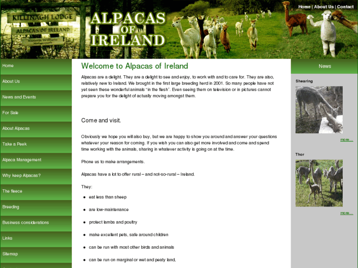 www.alpacas-of-ireland.com