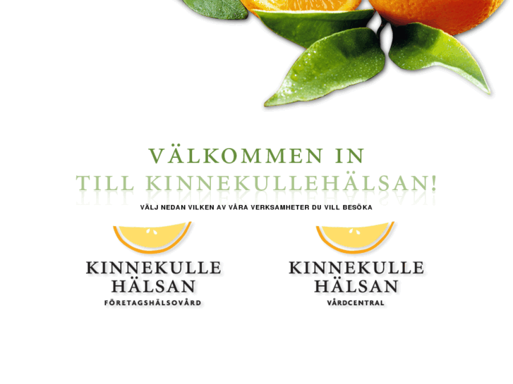 www.kinnekullehalsan.se