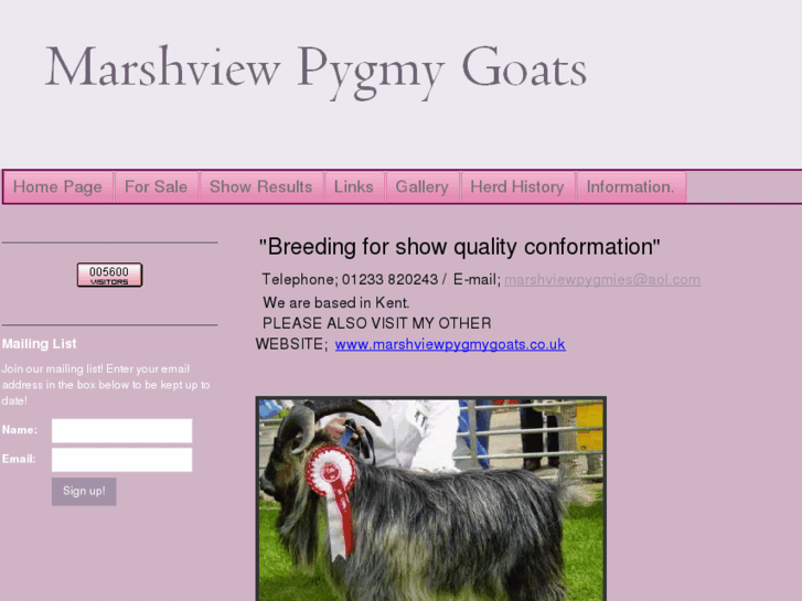 www.marshviewpygmygoats.com