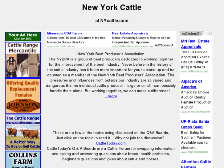 www.nycattle.com