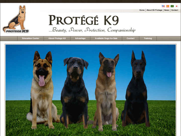 www.protegek9.com