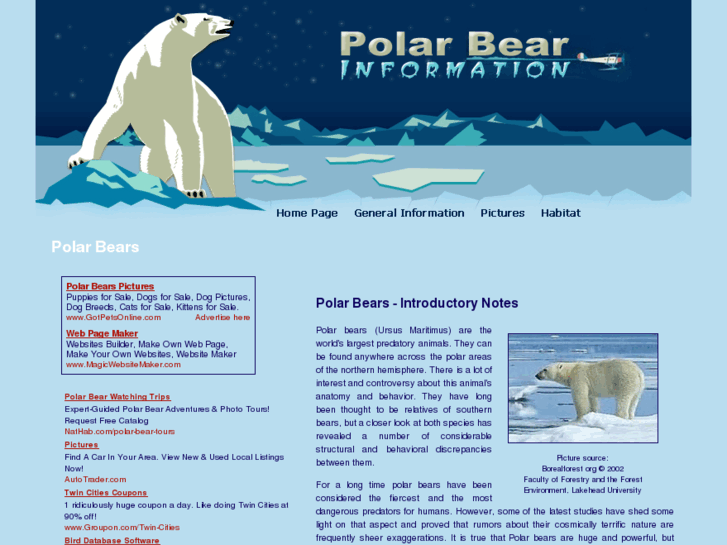 www.polar-bear-information.com