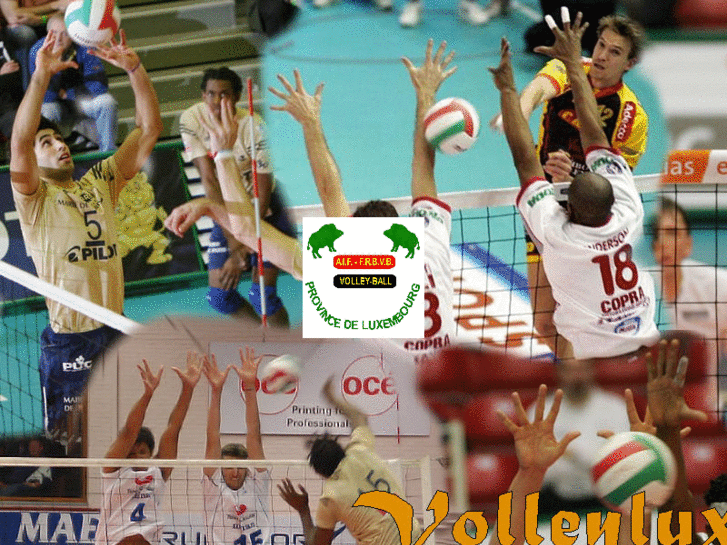 www.volleylux.com