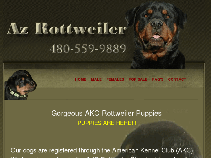 www.azrottweiler.com