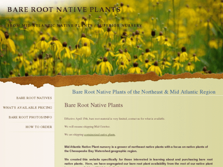 www.barerootnatives.com