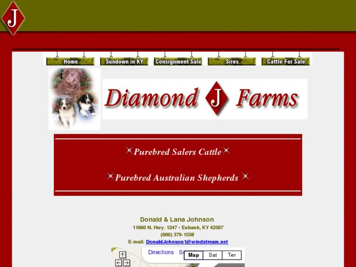 www.diamondjsalers.com