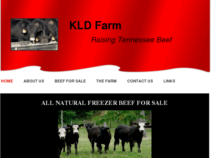 www.kldfarmtennbeef.com