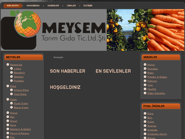 www.meysem.com