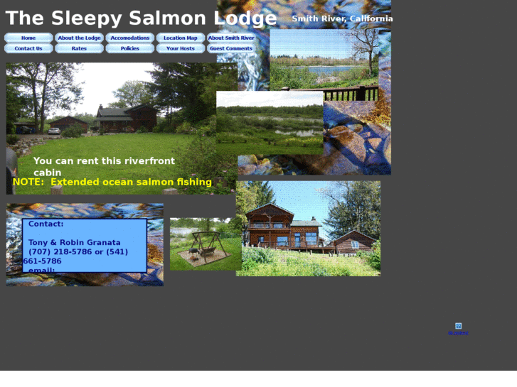 www.sleepysalmon.com