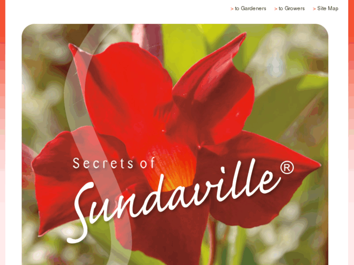 www.sundaville.info