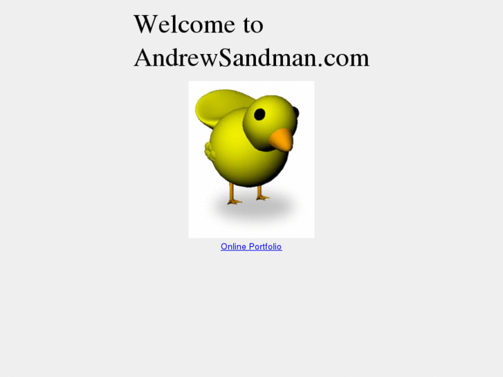 www.andrewsandman.com