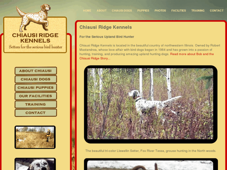 www.chiausiridgekennels.com