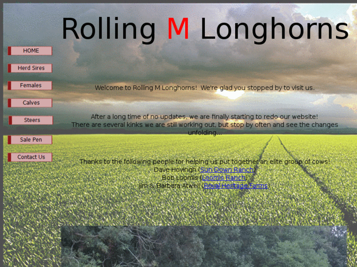 www.rollingmlonghorns.com