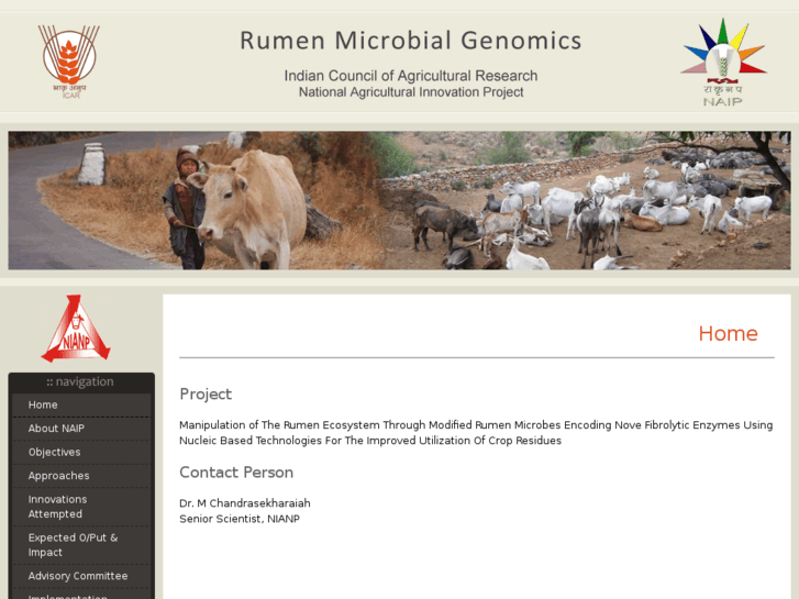 www.rumenmicrobialgenomics-naip.org