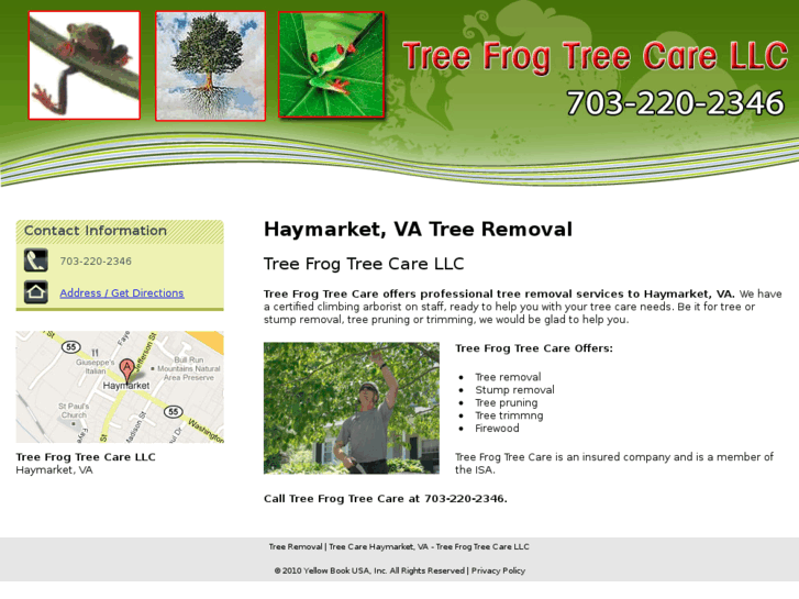 www.treefrogtreecare.org