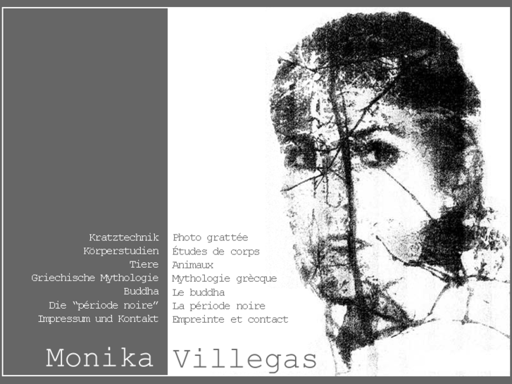www.art-villegas.com