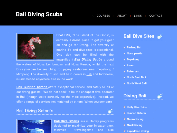 www.bali-diving-scuba.com