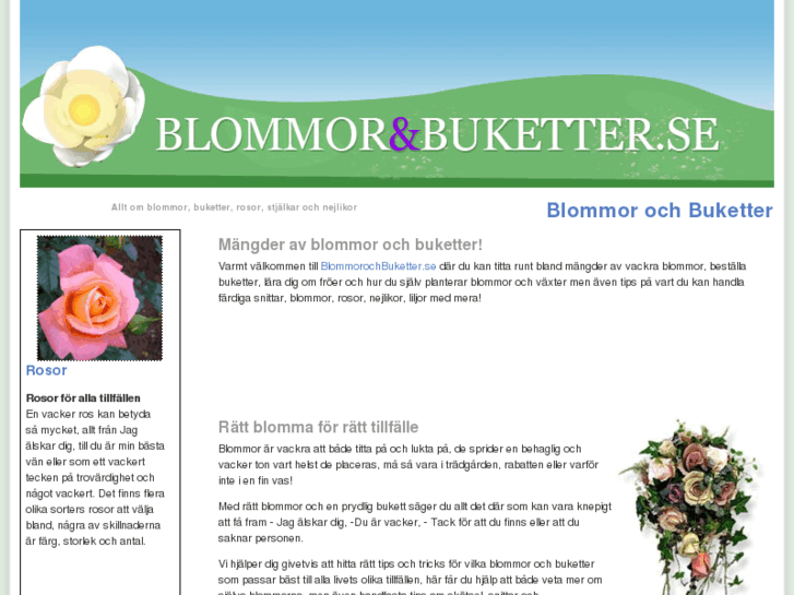 www.blommorochbuketter.se