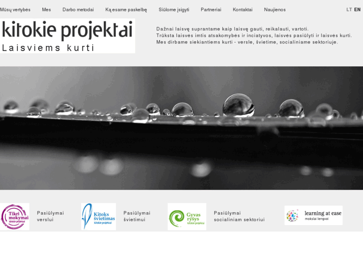 www.kitokieprojektai.net