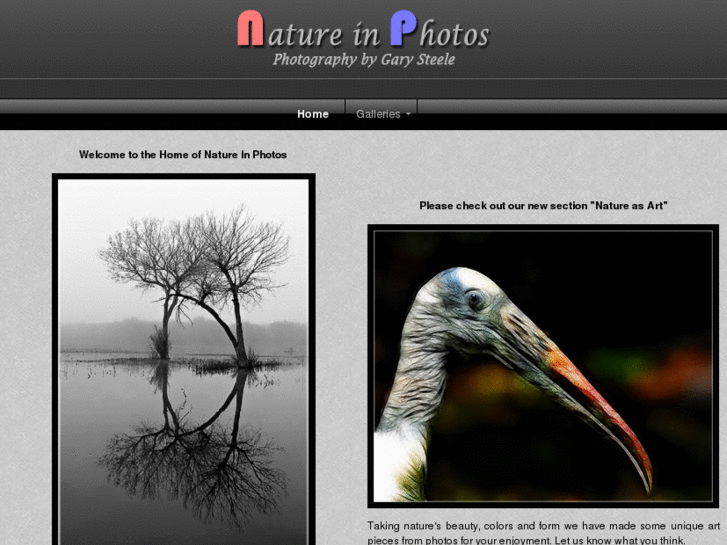 www.natureinphotos.com